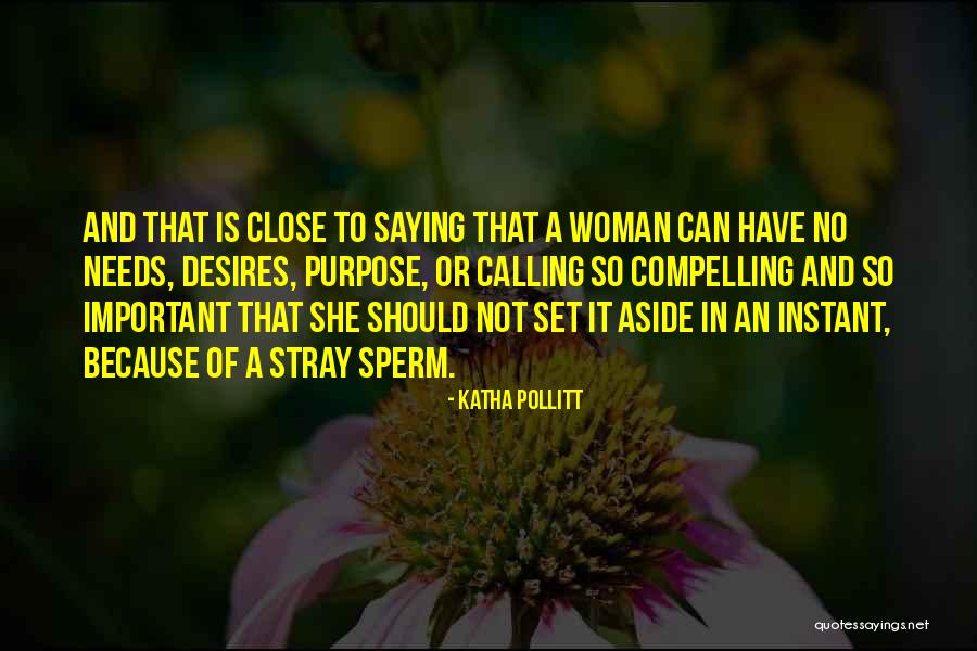 Cesado Significado Quotes By Katha Pollitt Cesado Significado Quotes By Katha Pollitt