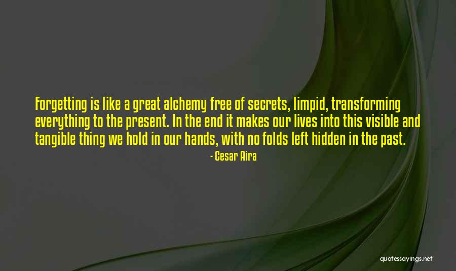 Cesar Aira Quotes 1359073 Cesar Aira Quotes 1359073