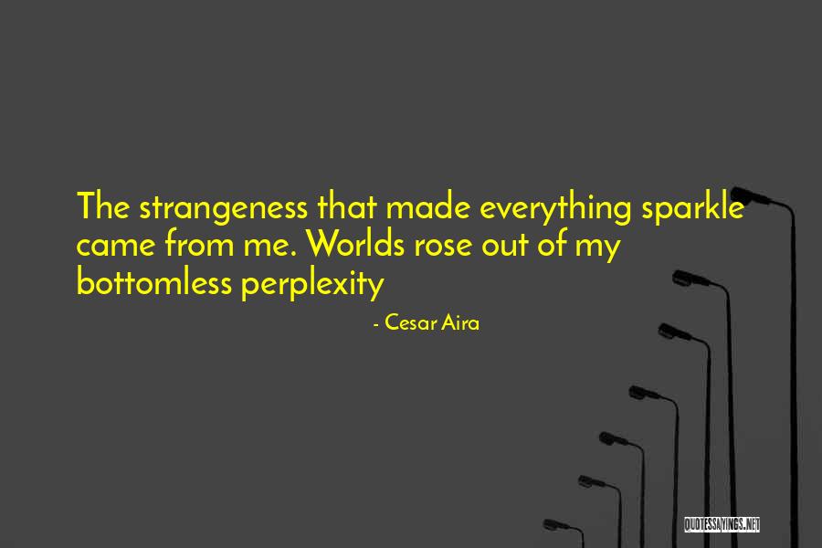 Cesar Aira Quotes 404049