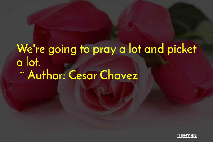 Cesar Chavez Quotes 1056870