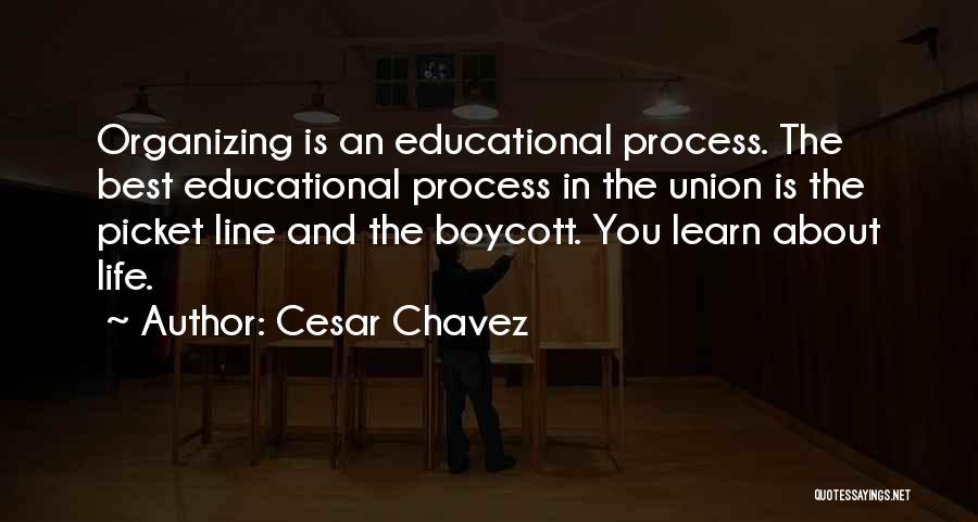 Cesar Chavez Quotes 1220251