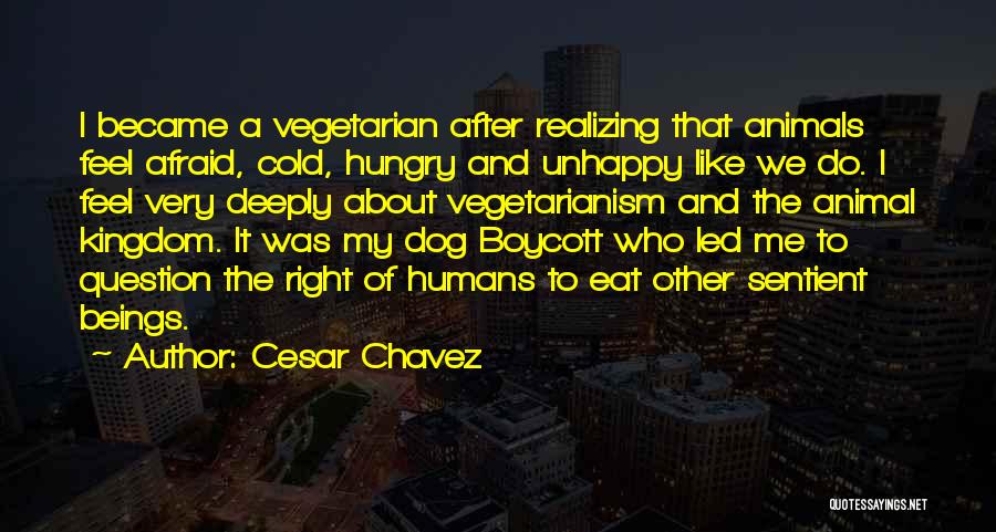 Cesar Chavez Quotes 1579316