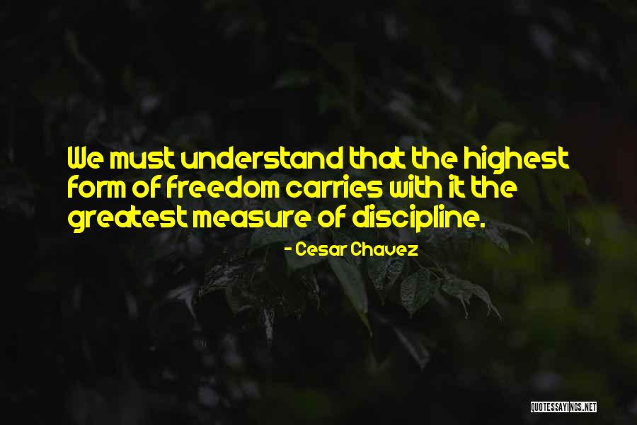 Cesar Chavez Quotes 164002