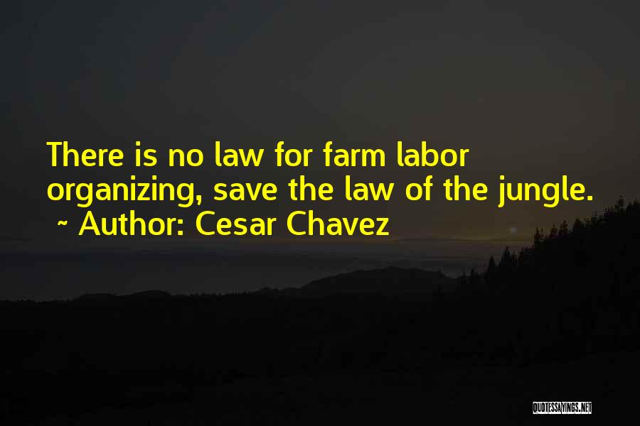 Cesar Chavez Quotes 2028608