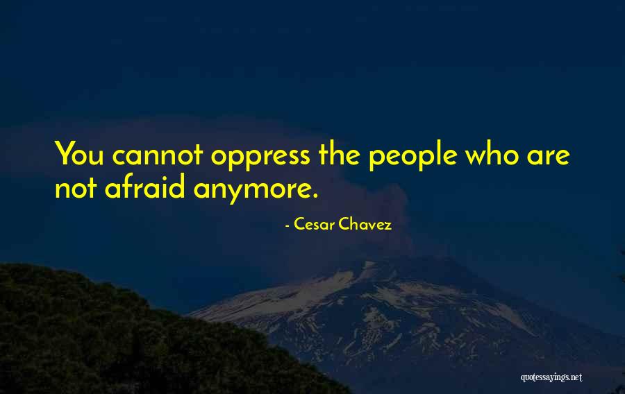 Cesar Chavez Quotes 2116404