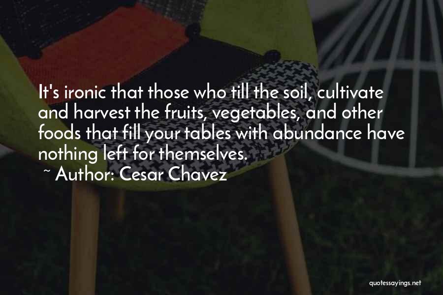 Cesar Chavez Quotes 2202897