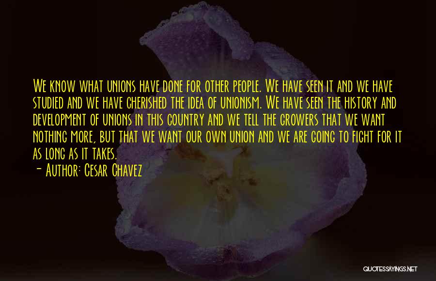 Cesar Chavez Quotes 2218488