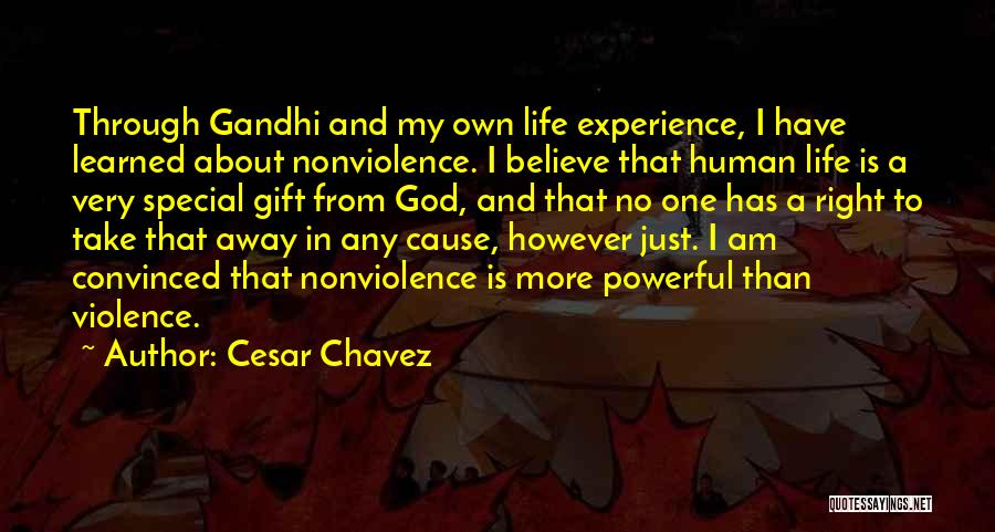 Cesar Chavez Quotes 237188