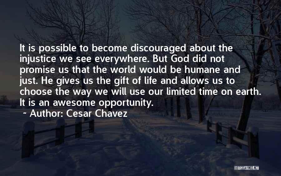 Cesar Chavez Quotes 685047