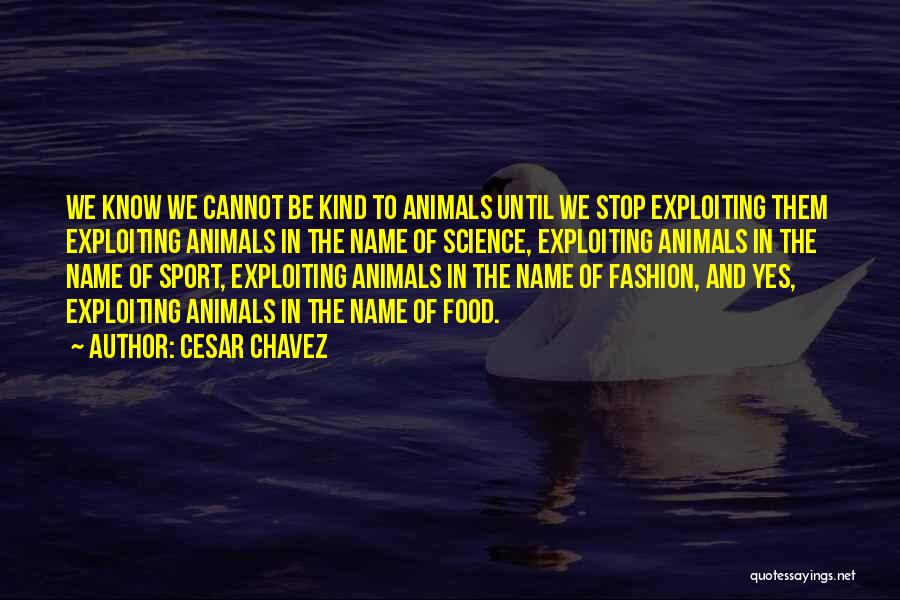 Cesar Chavez Quotes 742696