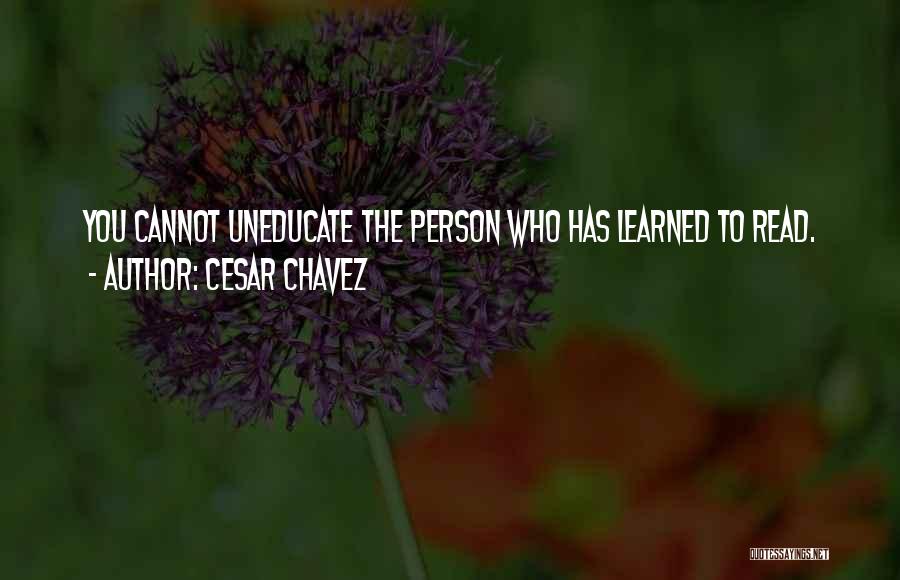 Cesar Chavez Quotes 789619