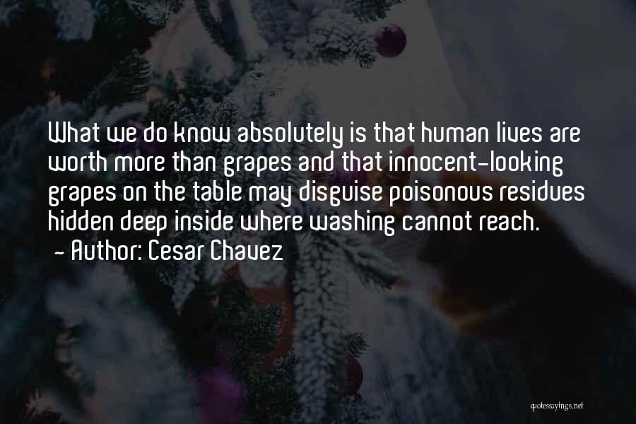 Cesar Chavez Quotes 816531
