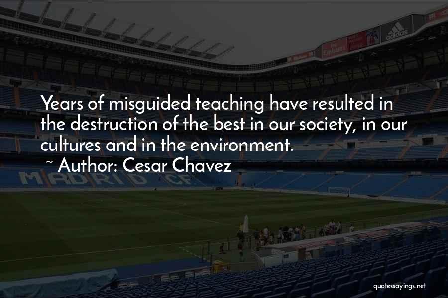 Cesar Chavez Quotes 828005