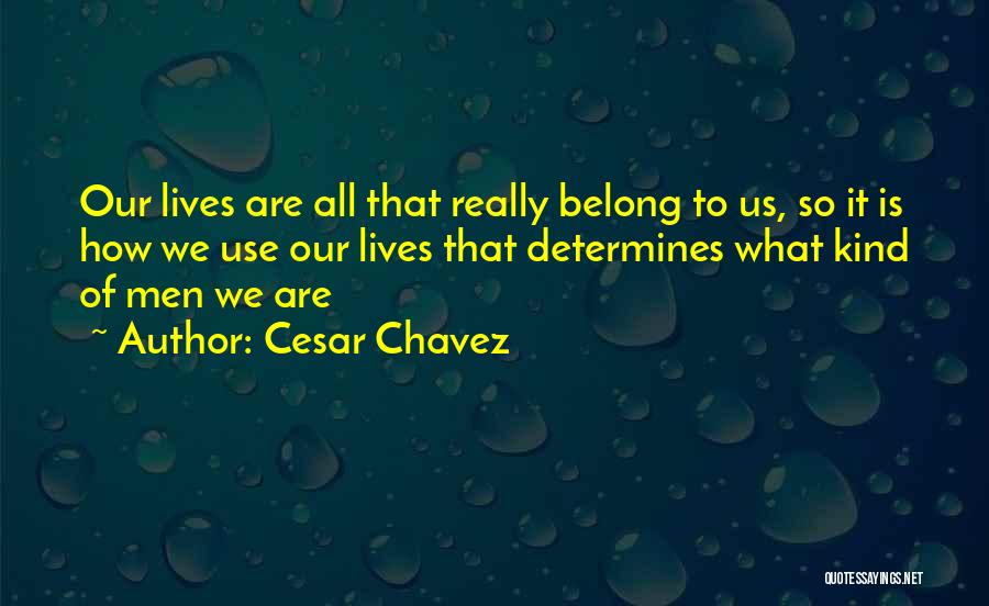 Cesar Chavez Quotes 832366