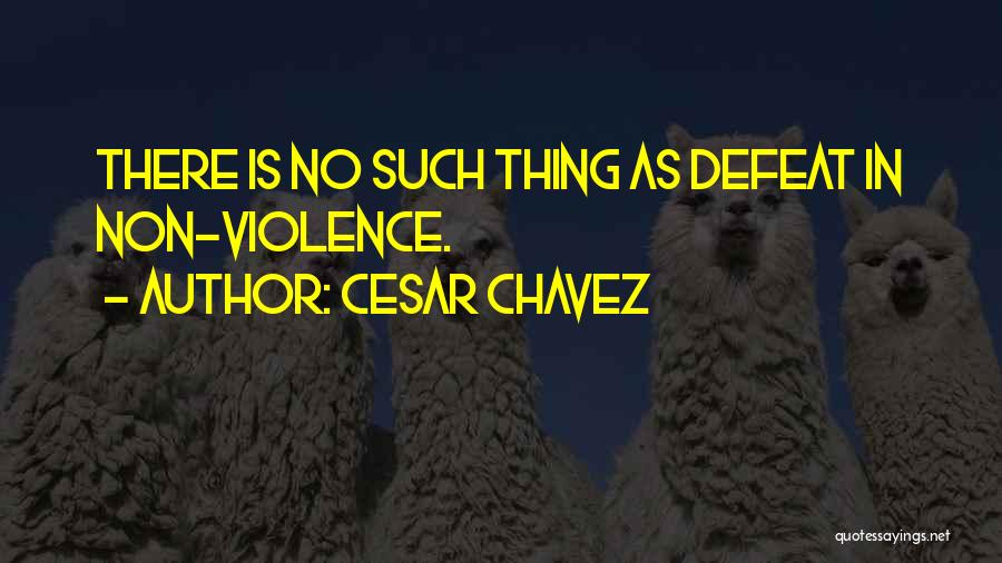 Cesar Chavez Quotes 844956