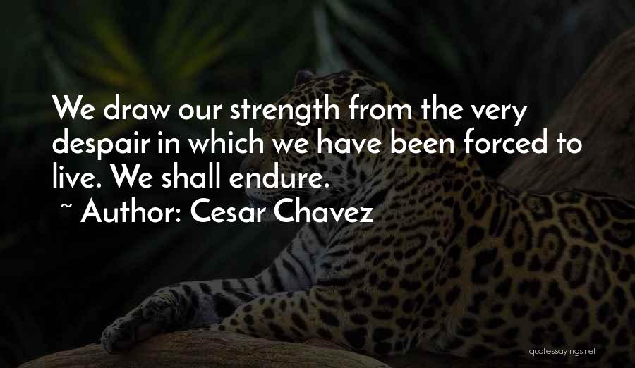 Cesar Chavez Quotes 86033