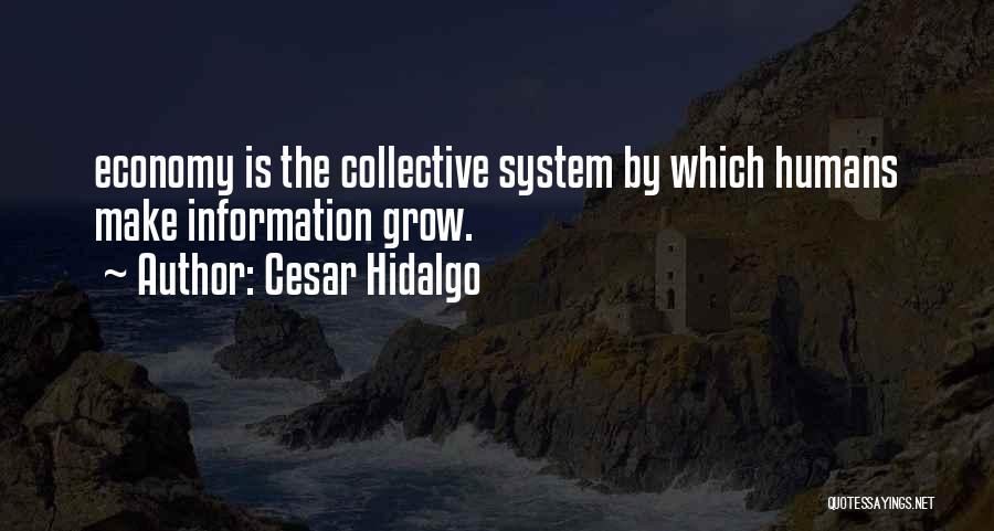 Cesar Hidalgo Quotes 1392094