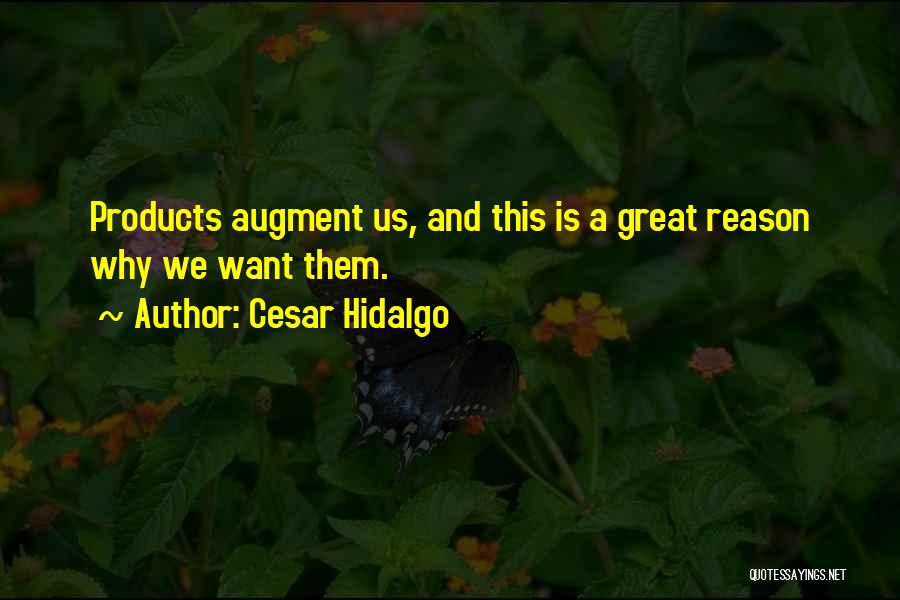 Cesar Hidalgo Quotes 1482683