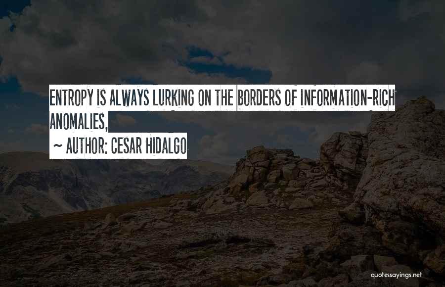 Cesar Hidalgo Quotes 493888