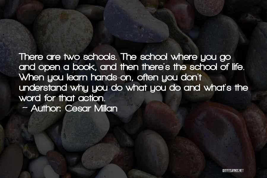 Cesar Millan Life Quotes By Cesar Millan