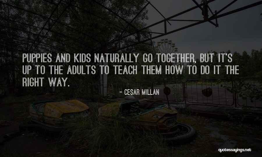 Cesar Millan Quotes 1021510 Cesar Millan Quotes 1021510