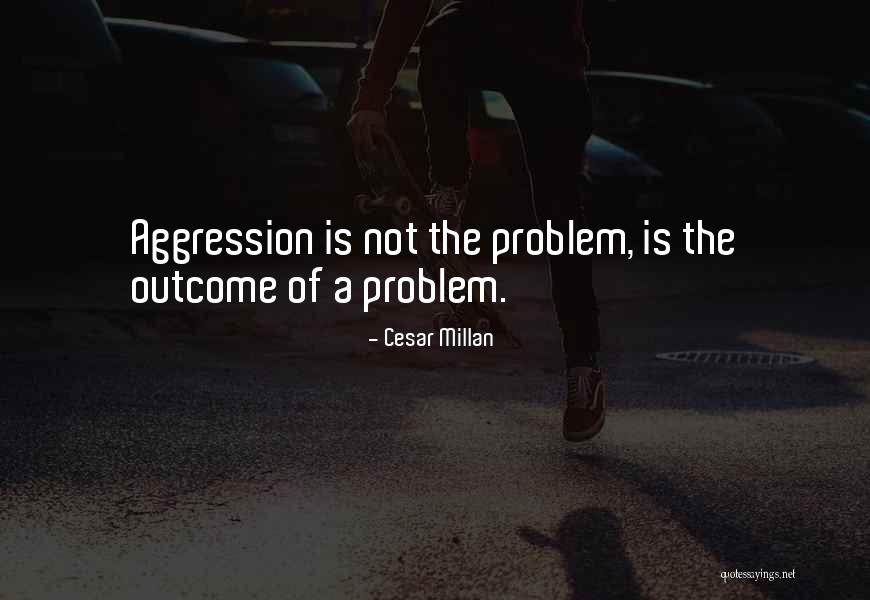 Cesar Millan Quotes 1027432 Cesar Millan Quotes 1027432