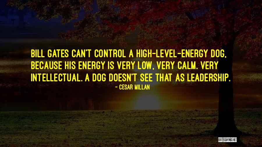 Cesar Millan Quotes 1033909 Cesar Millan Quotes 1033909