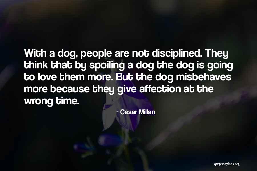 Cesar Millan Quotes 1043086 Cesar Millan Quotes 1043086