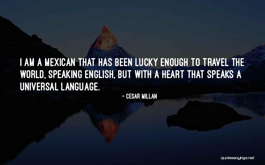 Cesar Millan Quotes 105012 Cesar Millan Quotes 105012