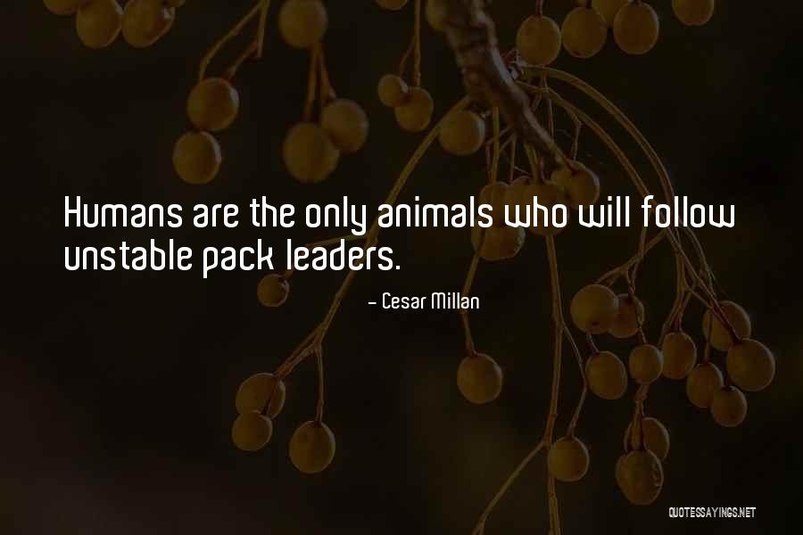 Cesar Millan Quotes 1097978 Cesar Millan Quotes 1097978