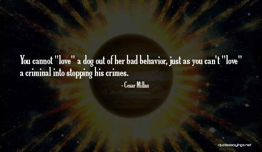 Cesar Millan Quotes 1177230 Cesar Millan Quotes 1177230