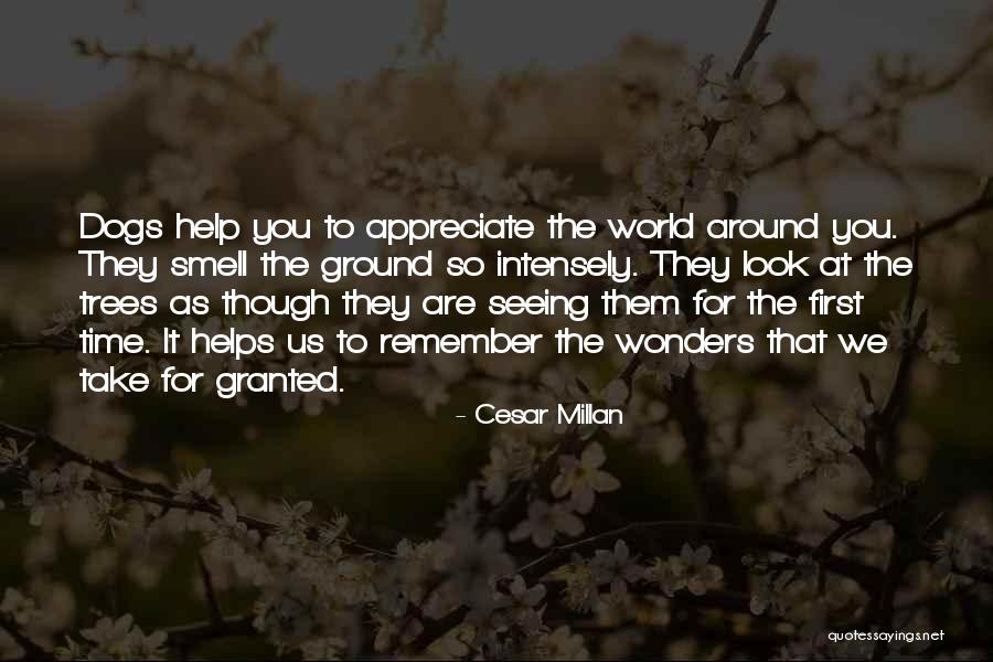 Cesar Millan Quotes 1240402 Cesar Millan Quotes 1240402