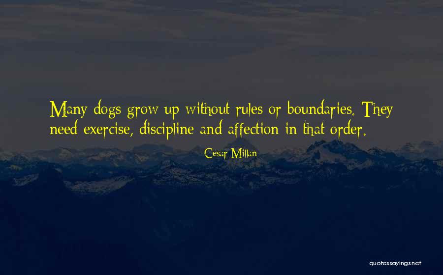 Cesar Millan Quotes 1257221 Cesar Millan Quotes 1257221