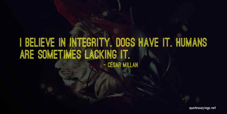 Cesar Millan Quotes 1300477