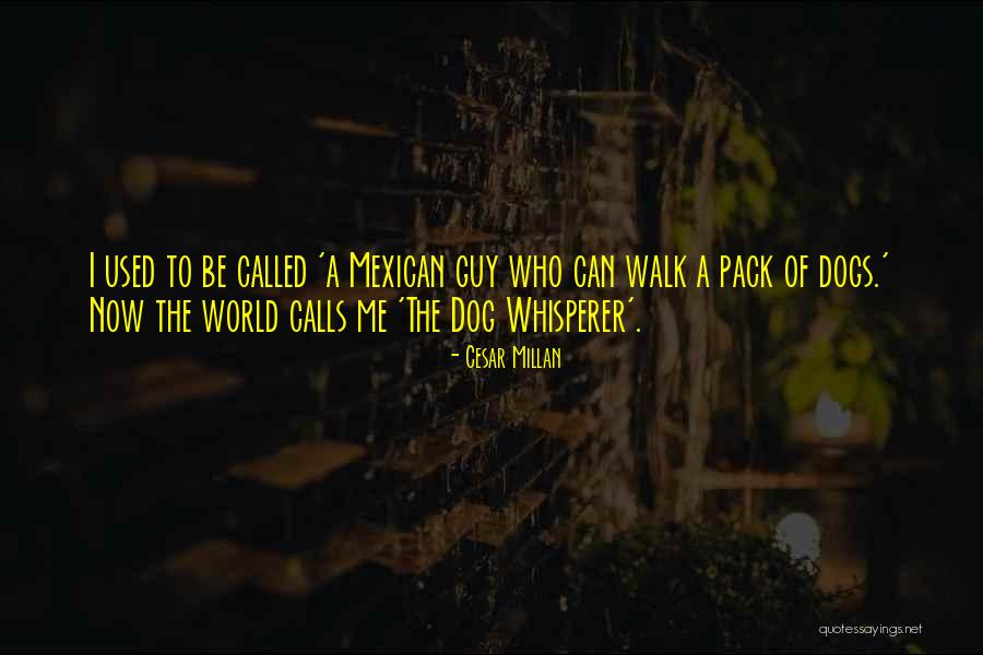 Cesar Millan Quotes 1344547 Cesar Millan Quotes 1344547