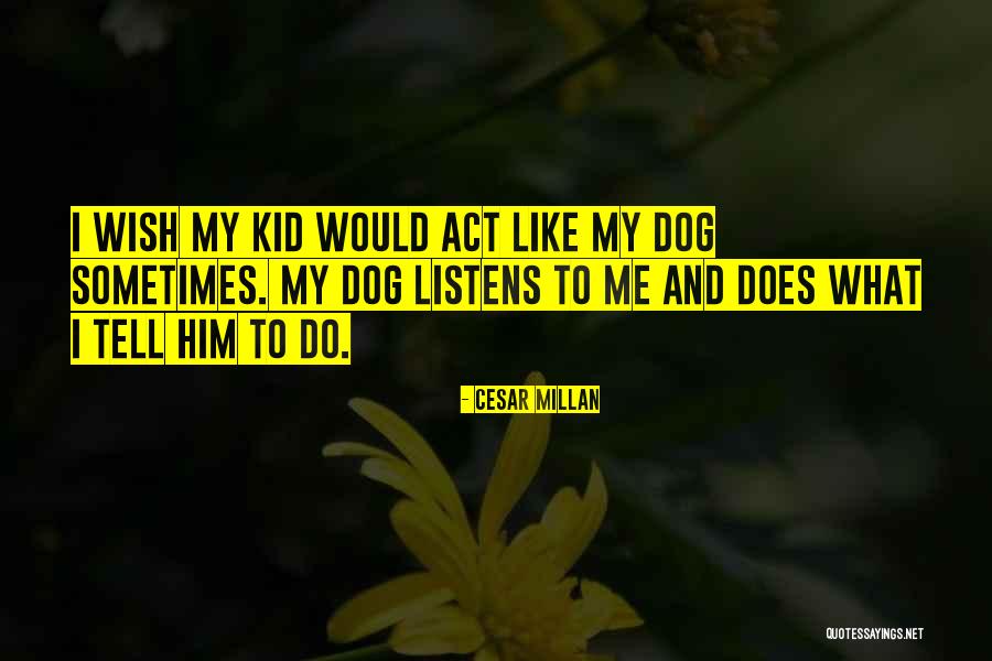 Cesar Millan Quotes 1551741 Cesar Millan Quotes 1551741