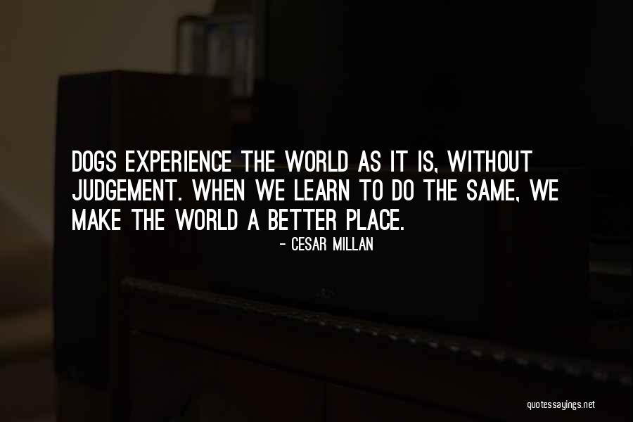 Cesar Millan Quotes 1607474 Cesar Millan Quotes 1607474