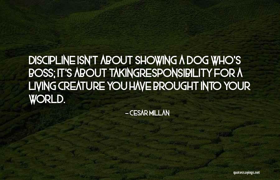 Cesar Millan Quotes 1624974 Cesar Millan Quotes 1624974