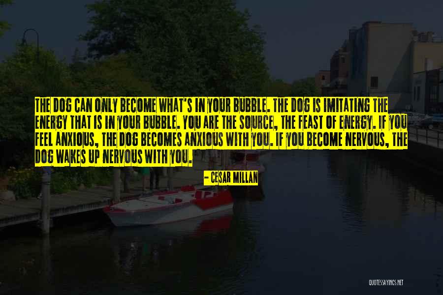 Cesar Millan Quotes 1691677 Cesar Millan Quotes 1691677