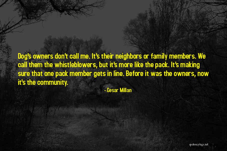 Cesar Millan Quotes 1838863 Cesar Millan Quotes 1838863