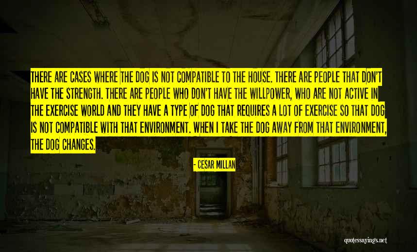 Cesar Millan Quotes 1842347 Cesar Millan Quotes 1842347