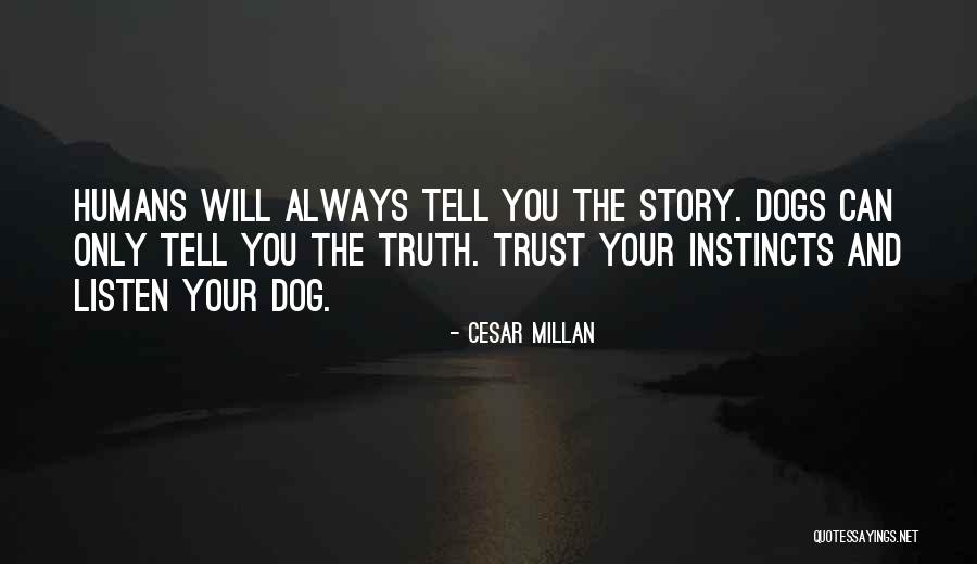 Cesar Millan Quotes 1874532 Cesar Millan Quotes 1874532