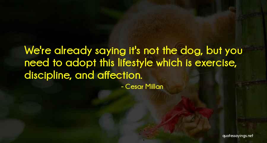 Cesar Millan Quotes 1883905 Cesar Millan Quotes 1883905