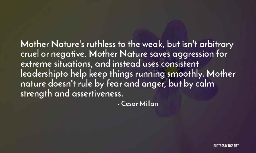 Cesar Millan Quotes 1931340 Cesar Millan Quotes 1931340