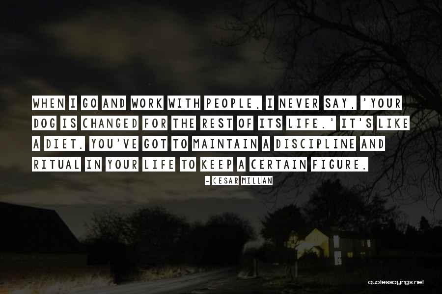 Cesar Millan Quotes 1969972 Cesar Millan Quotes 1969972