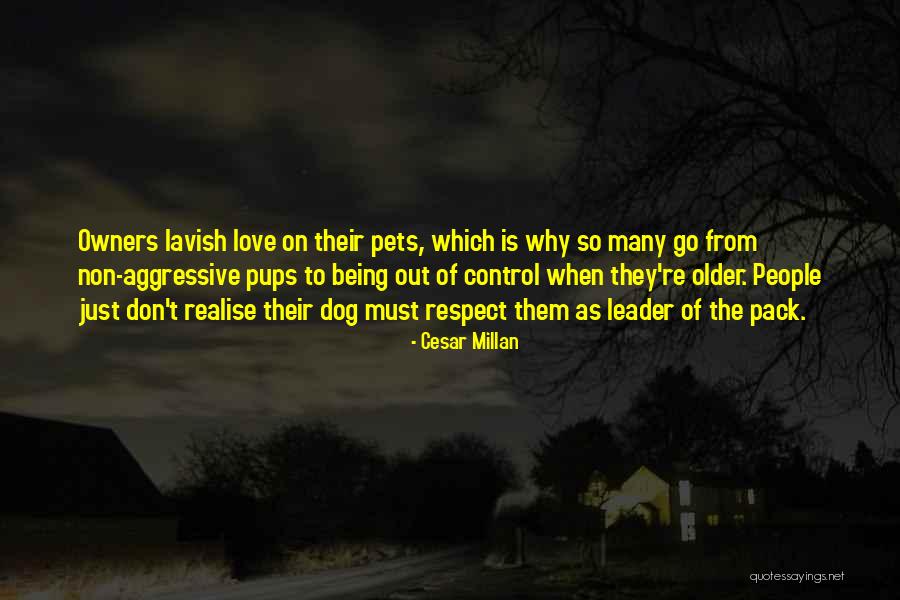 Cesar Millan Quotes 2054377 Cesar Millan Quotes 2054377