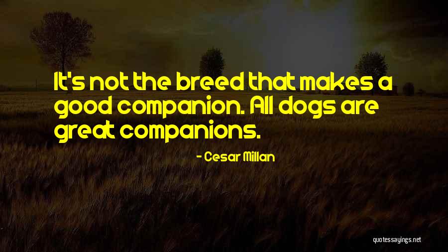 Cesar Millan Quotes 214929 Cesar Millan Quotes 214929