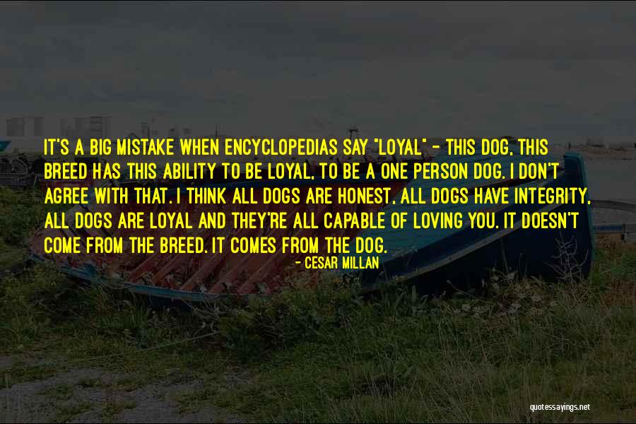 Cesar Millan Quotes 2212141 Cesar Millan Quotes 2212141