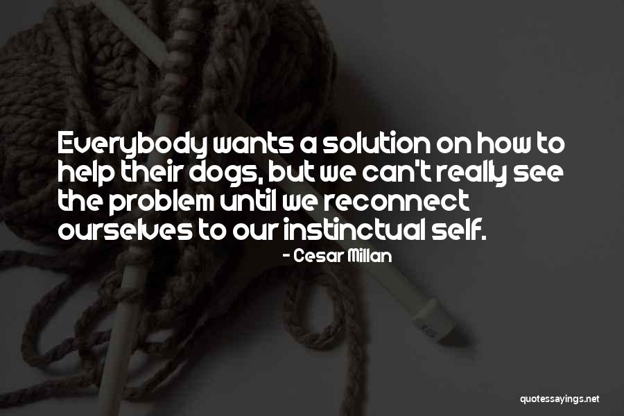 Cesar Millan Quotes 2251472 Cesar Millan Quotes 2251472