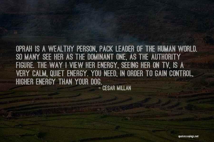 Cesar Millan Quotes 2263022 Cesar Millan Quotes 2263022